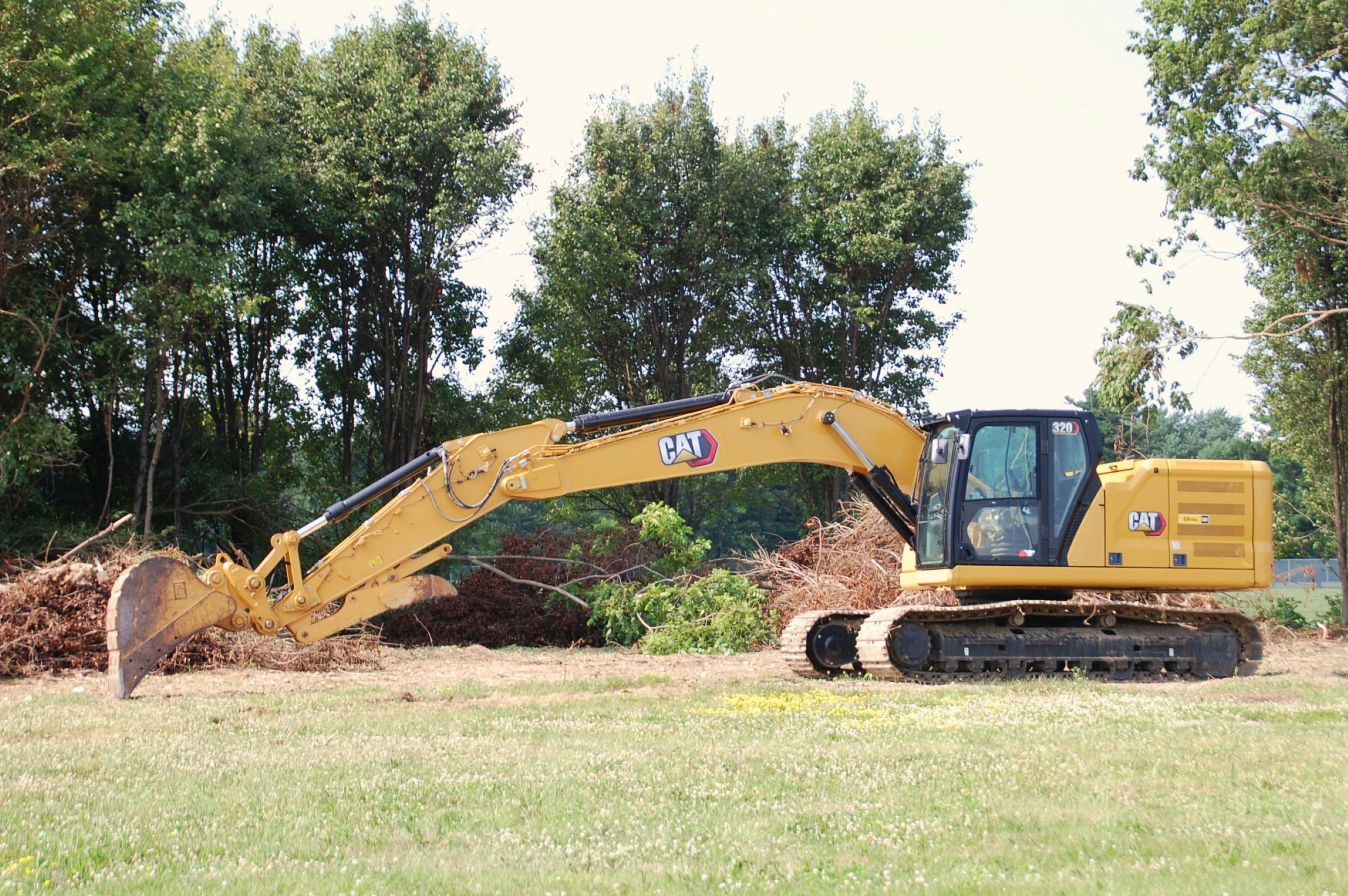 Local Asheville North Carolina tree services, tree trimming, stump grinding, landscaping and wood chipping.
